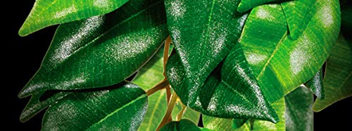Exo Terra Plastic Terrarium Plant, Small, Mandarin (Pack of 5) - color: Mandarin, size: Small (Pack of 5)