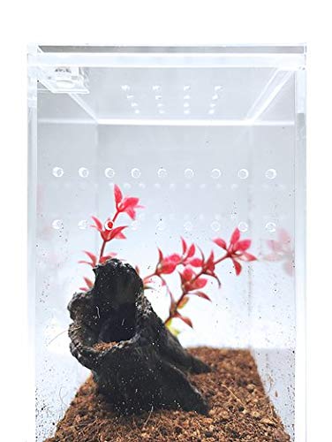 Herpcult Magnetic Acrylic Mini-Tall Enclosure 3 x 3 x 6