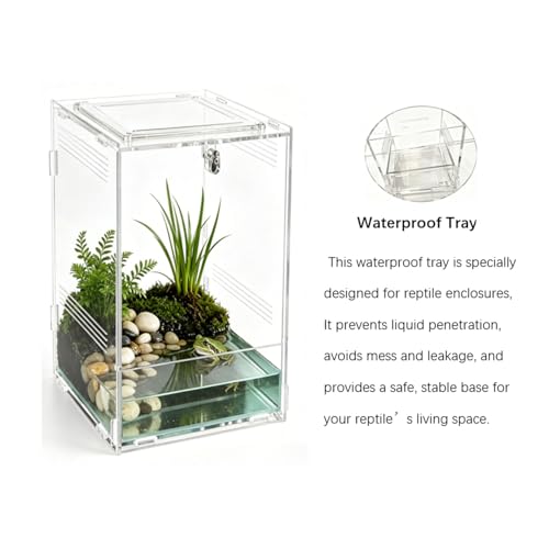 Clear Acrylic Reptile Terrarium with Mesh Top for Lighting, Waterproof and Ventilated Enclosure for Small Insect,Jumping Spider, Tarantula, Easy Access Feeding