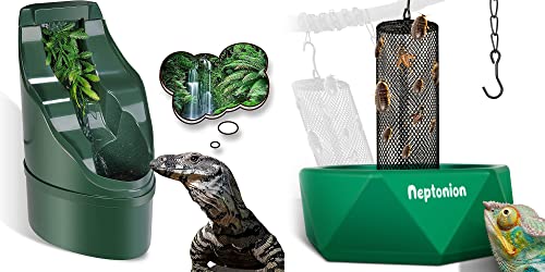 Chameleon Feeding Kit, Come with a Hookable Feeding Bowl and a Reptile Water Feeder, Perfect for Leaving Your pet Whilst on Vacation