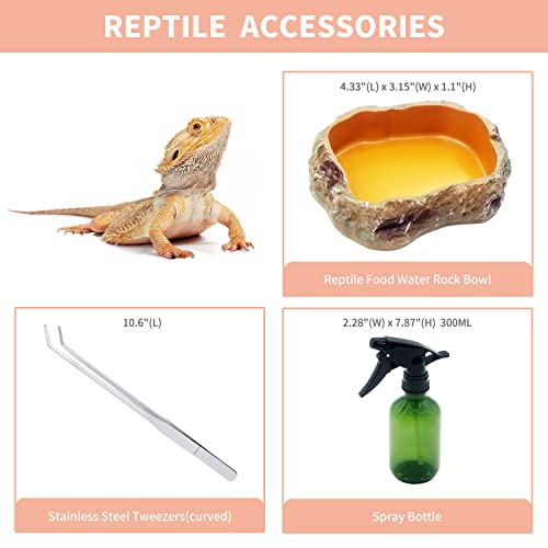 Reptile Terrarium,16" x 8"x 10" Reptile Tank with Full View Visually Appealing，for Insect，Fish，Tarantula，Hermit Crab，Jumping Spider，Iguana，Tortoise，Leopard Gecko，Frog，Bearded Dragon - size: 16" x 8"x 10"