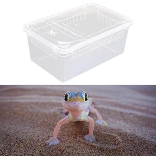 Reptile Breeding Box Clear Terrarium Habitat Portable Cage Transparent Container PP Material Ventilation Suitable for Reptile Hatching Transp, Style C - size: Style C