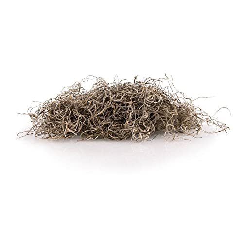 Gardenera Premium Natural Spanish Moss | Natural Preserved - Great Ground Cover - Filler for Potted Plants - 2 Quart Bag (GRD-SPANISH-MOSS-2QT) - color: SPANISH MOSS, size: 2 Quart
