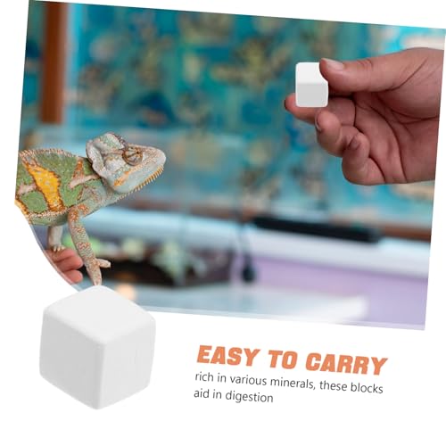 balacoo 6pcs Natural Mineral Block for Reptiles and Crustaceans Essential Snack for Aquariums Prolonged Mineral Release Safe and Health for Lizards and Crabs