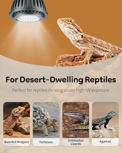 Pawfly UVB Light for Reptiles, 3 W 10.0 UVB Bulb, Desert Reptile UVA UVB Lamp for Calcium & Vitamin D3 Synthesis, High Intensity LED Lamp for Bearded Dragon, Tortoise & Lizard - size: 3 W 10.0 UVB