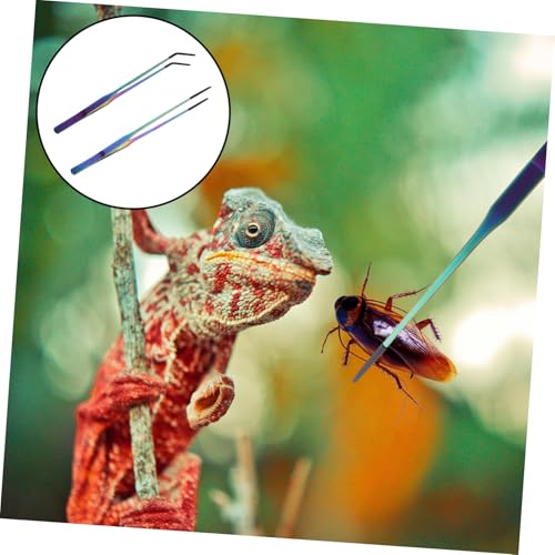 BESTonZON 2PCS Stainless Steel Aquarium Feeding Tweezers Set Curved and Straight PET Feeding Tongs for Lizards Snakes and Reptiles Long Handle Tools for Terrarium and Aquatic Plants