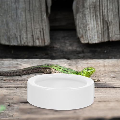 Reptile Feeding Bowls Round Shape 2 Pcs Ceramic Stable Desktop Standing, Anti-Escape Design Feeding Dish for Water and Food for Small Lizards and Reptile Animals