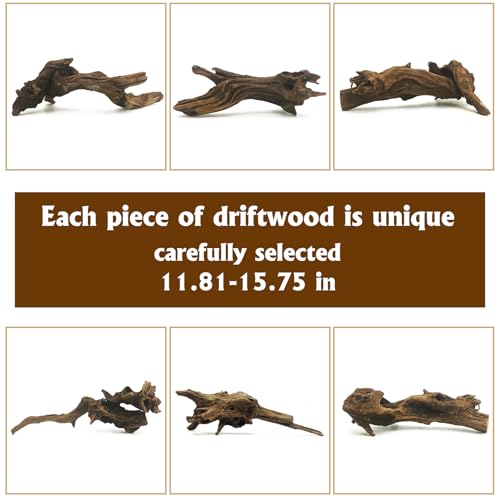 Hamiledyi 5 Pcs Reptile Plants Terrarium Hanging Fake Plant Leaves and Large Driftwood for Reptile Tank 11-16" Natural Bearded Dragon Wood for Ball Python Gecko Lizard Chameleon Iguana