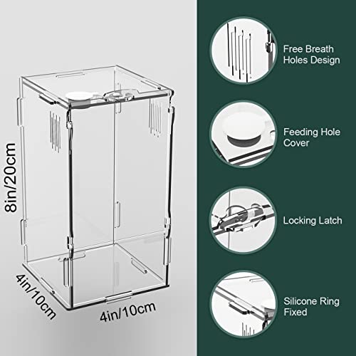 BETAZOOER Acrylic Mini Reptile Tank Habitat Transparent Terrariums with Locking Latch Suitable for Tarantula Isopod Roach Invertebrates (4''x4''x8'') - size: Small