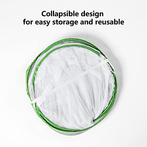 36" Outdoor Mesh Plant Enclosure, Plant Cover for Pests, Bird and Pest Protection Guard for Fruit, Vegetables, Flowers and Herbs Pop-Up Cage 24 x 24 x 36 Inches - size: 24 x 24 x 36 Inches