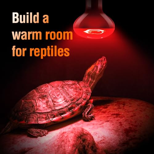Leoterra 75w Heat Lamp Bulbs Day and Night Heat Lamp Bulbs Combo Pack, Dimmable Heat lamp for Reptiles, E26 Base,Easy to Install,Long-Lasting Reptile Heating Bulb - style: H8075 Combo Pack