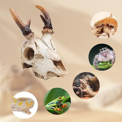 Reptile Decorations for Terrarium, Resin Skull Ornament Climbing Toy for Gecko, Tarantula Enclosure Accessories, Bearded Dragon Tank Accessories
