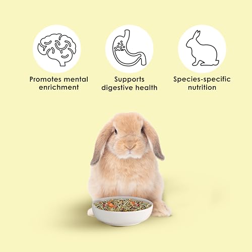 Kaytee Food from The Wild Natural Pet Rabbit Food, 4 Pound - size: 4 Pound (Pack of 1)