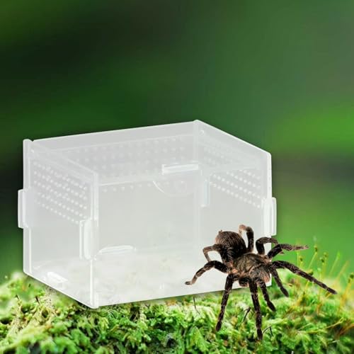 Reptile Breeding Box Terrarium Habitat Tank Transparent Acrylic Enclosure with Ventilation Holes for Snakes Frogs Turtles Geckos Small Animals- 10x8x7cm