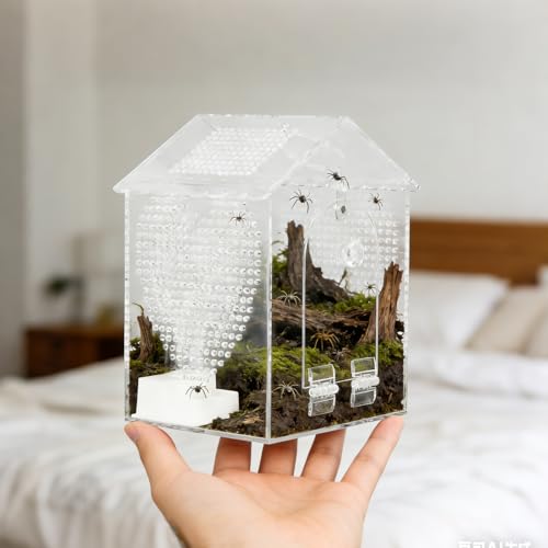 BestYiJo Jumping Spider Enclosure, 6 * 5 * 8" Lengthen Seamless Acrylic Terrarium with Feeder and Waterer – Ideal for Jumping Spiders, Praying Mantis, Scorpions, Hermit Crabs & Micro Reptiles