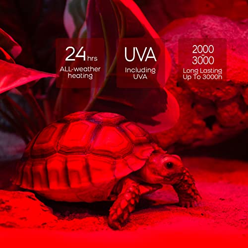 WACOOL 4 Pack Reptile Heat Lamp Bulbs,75W Infrared Basking Spot Light for Reptiles & Amphibians, Red Heat Lamp Bulb for Bearded Dragon Gecko Turtle Lizard (75, Watts)… - style: 75W-4 PACK
