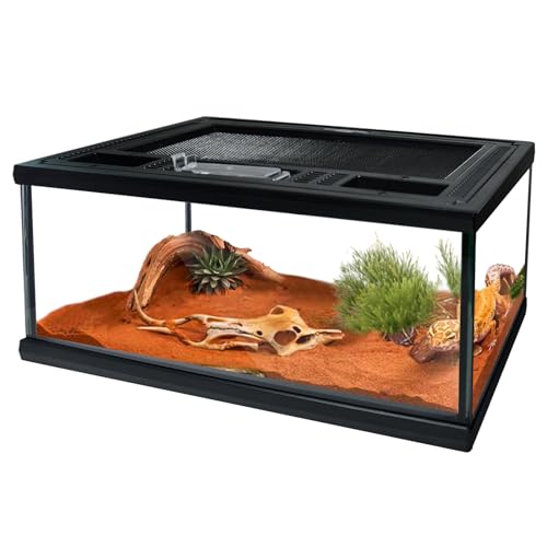 Reptile Glass Terrarium Tank 12"*8"*6",Small Cage Full View with Top Screen Ventilation Habitat Enclosure for Tarantula,Frog,Gecko,Insects,Spiders,Snakes,Hermit Crab,Turtle,Ball Python - size: 12*8*6inch