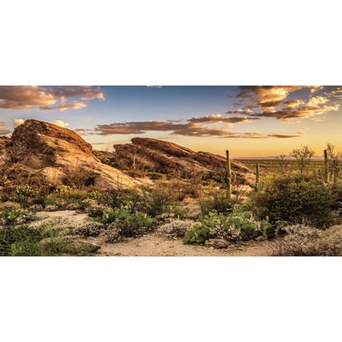 AWERT Reptile Habitat Background Blue Sky Oasis Cactus Sun and Desert Terrarium Background 30x12 inches Polyester Background - size: 30x12 inches