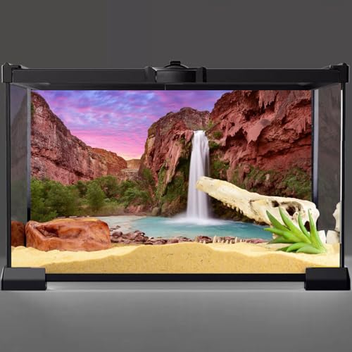 AWERT 24x12 inches Reptile Habitat Background Sunset Mountain Waterfall Terrarium Background Durable Polyester Background - size: 24x12in/60x30cm