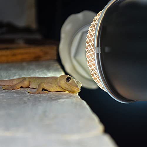 Reptile Heat Lamp Cover Reptile - Scald Lampshade Box Insulation Lamp Shade