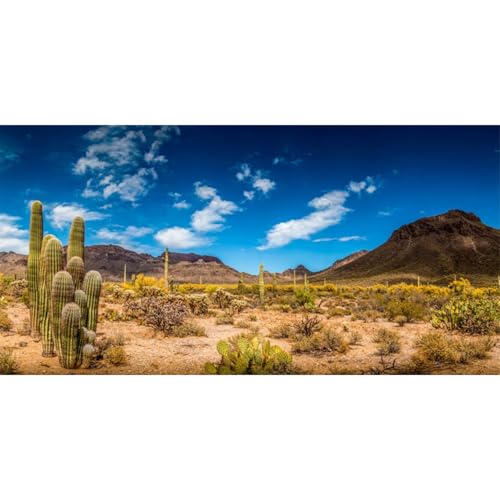 AWERT 36x24 inches Reptile Habitat Background Blue Sky Oasis Cactus Desert Terrarium Background Vinyl - size: 36x24in/90x60cm