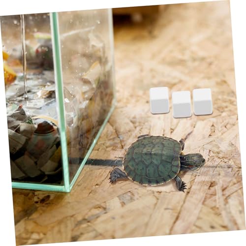 balacoo 6pcs Natural Mineral Block for Reptiles and Crustaceans Essential Snack for Aquariums Prolonged Mineral Release Safe and Health for Lizards and Crabs