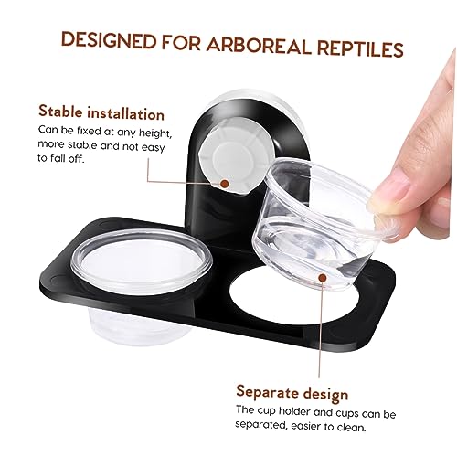 BESPORTBLE 2pcs Suction Cup Reptile Feeders Double Bowls for Food and Water Durable Reptile Feeding Dishes with Strong Suction for Lizards Geckos and Bearded Dragons