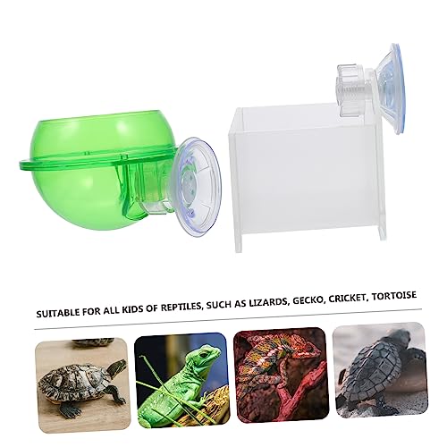 Abaodam 2pcs Reptile Feeding Bowl Cup Safe Water Dish for Lizards Geckos and Chameleons Easy to Install for Reptile Hydration