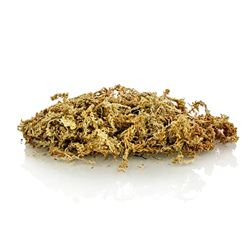 GARDENERA Premium Sphagnum Moss - Organic Hand Mixed New Zealand Long Fibered Sphagnum Moss Orchid - 1 Quart Bag - size: 1 QUART