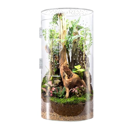 Tall Arboreal Tarantula Enclosure, Acrylic Reptile Terrarium with Front Opening Door for Jumping Spiders Lizards Snails