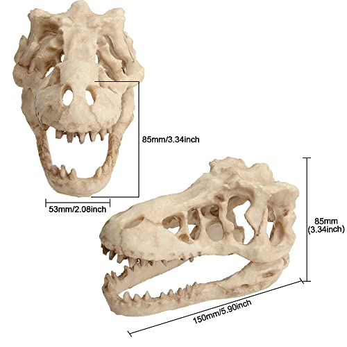 Fish Tank Decorations Dinosaur Skull Decor Resin Aquarium Decoration Accessories for Small Betta Fish, Hermit Crab Hideout Caves, Reptile House Ornament