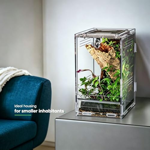 Clear Acrylic Reptile Terrarium with Mesh Top for Lighting, Waterproof and Ventilated Enclosure for Small Insect,Jumping Spider, Tarantula, Easy Access Feeding
