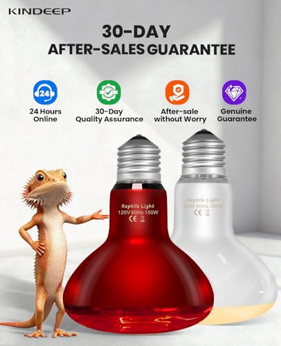 KINDEEP 150W Reptile Heat Lamp Bulbs: Reptile Day & Night Basking Spot Bulb Combo Amphibian Infrared Heat Lamp Bulb - UVA Basking Spot Daylight Heating Light Bulb for Lizard Tortoise Snake