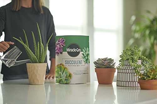 Miracle-Gro Succulent Potting Mix, 4 qt. (2-Pack) | Potting Soil Mix for Indoor Succulents, Aloe Vera and More, Made with Miracle-Gro Plant Food - size: 2 Pack, style: Succulent