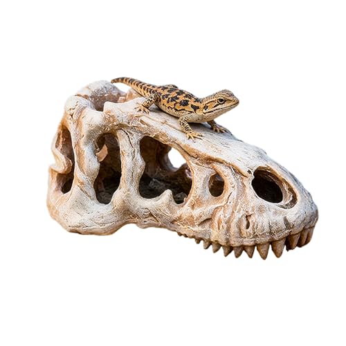 Dinosaur Skull Reptile Basking Platform, Resin Fish Tank & Terrarium Decor for Bearded Dragons, Lizards, Geckos - Aquarium Decor, Tarantula Hide Cave