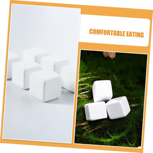 30pcs Natural Mineral Calcium Block for Reptiles and Amphibians Supports Growth and Dental Health for Tortoises Turtles Frogs Lizards Chameleons Provides Essential Trace Elements