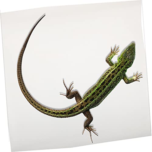 Eva Reptile Carpet Mat Non-Adhesive Reptile Tank Bedding Bearded Dragon Substrate Soft Lizard Climbing Decor Tortoise Bedding