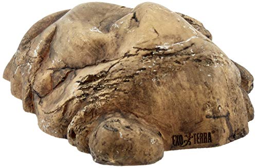 Exo Terra Reptile Cave - Large - color: Multi, size: Large