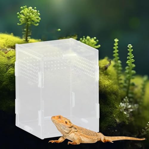 Reptile Breeding Box Acrylic Terrarium Container with Ventilation Holes for Snakes Turtles Chameleons Frogs Geckos Small Animal Habitat- 8x7x10cm