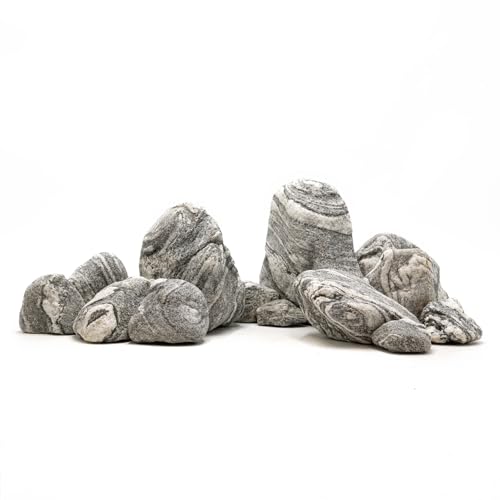 Silver Seiryu Rock Aquarium Rocks 40lb Natural Mountain Stone for Fish Tanks, Aquascaping, Terrariums, Bonsai, Garden Landscaping & Reptile Habitats(2-10inch 12-14Pcs) - size: 40lb (2-10inch)