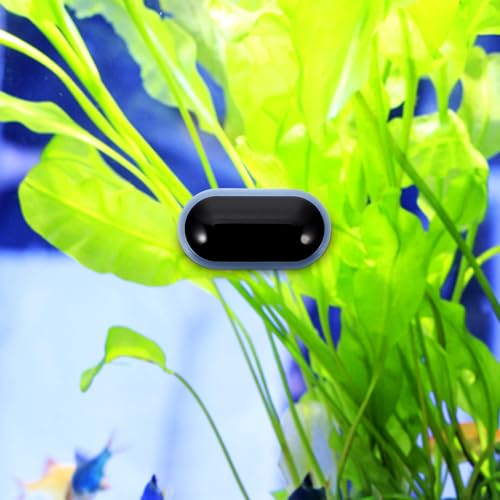 TOYANDONA Fish Tank Temperature Gauge Digital LED Thermometer with Suction Cup High-Precision Aquarium Water Temperature Monitor for Reptile Terrarium Use