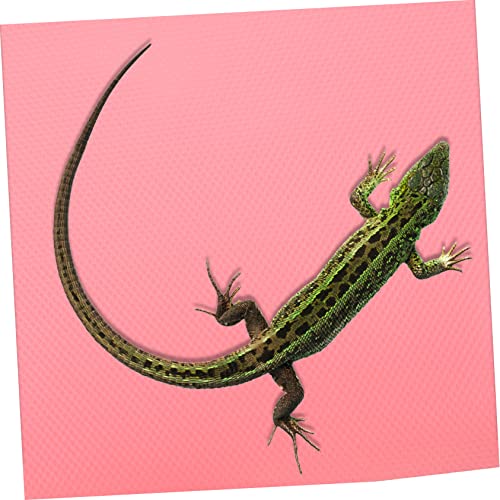 Mikikit Reptile Carpet for Bearded Dragon Gecko Snake Terrarium Liner Mat Non-Slip Substrate Bedding for Reptile Tanks for Lizards and Turtles 2ft x
