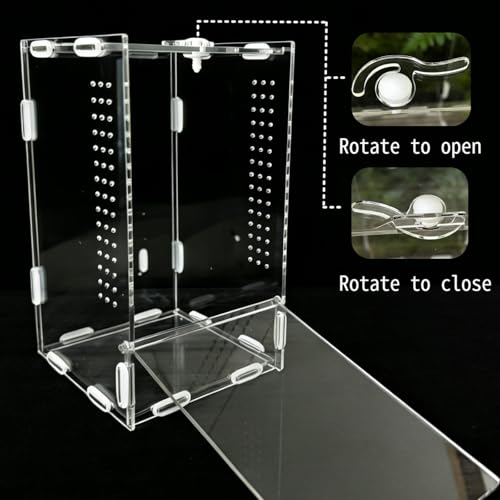 Jumping Spider Enclosure, Acrylic Reptile Terrarium | Tarantula Habitat, Lizard Box, Mantis Bug Cage
