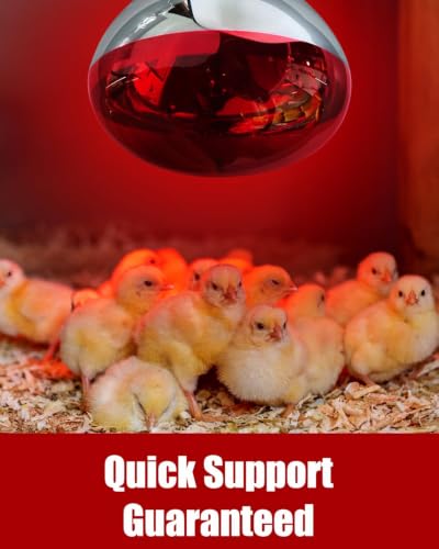 250W R40 Red Heat Lamp Bulbs, 8000 Hours Rated, Infrared Flood Light, Brooder Heating Lamp for Chickens, Reptiles, Pets, Bathroom, E26 Base - 8 Pack - color: Red, size: 8 Pack