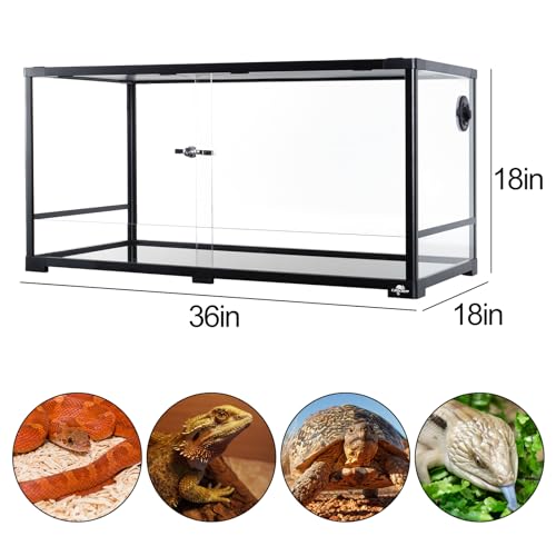 Dimming Thermostat Reptile with 50 Gallon Reptile Tank