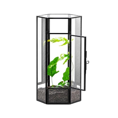 NCYP Glass Enclosure Terrarium with Mesh and Door for Small Spiders - Hexagon Shape, Small Mantis Vented Glass Terrarium 4.1'' x 3.6'' x 7.8'', Tabletop Decor, Black (Plants Not Include) - size: 4.1'' x 3.6'' x 7.8''