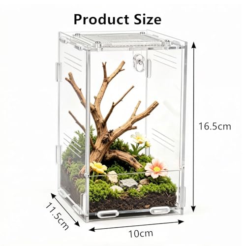 Clear Acrylic Reptile Terrarium with Mesh Top for Lighting, Waterproof and Ventilated Enclosure for Small Insect,Jumping Spider, Tarantula, Easy Access Feeding