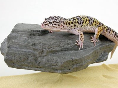 Rock Ledge (Granite, Small)
