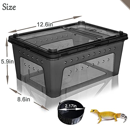 Hamiledyi 2PCS Reptile Feeding Box Snake Breeding Box Transparent Animal Habitat Cage and Reptile Plants Fake Amphibian Plants 2 Pcs Artificial Leaves for Snake, Lizard, Chameleon