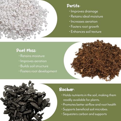 Soil Sunrise Terra-Preta Inspired Potting Soil (12 Quarts) Biochar-Enriched Sustainable Mix for Indoor/Outdoor Plants - size: 12 Quarts